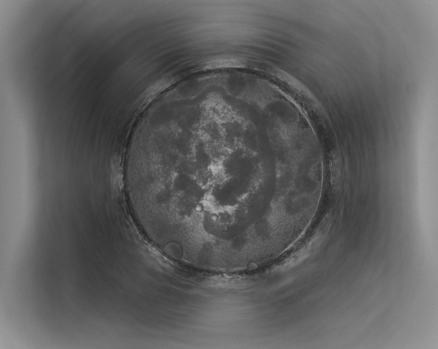 X0000113550929200909181156