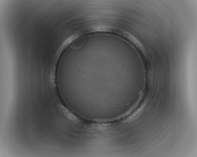 X0000113550930200909181156