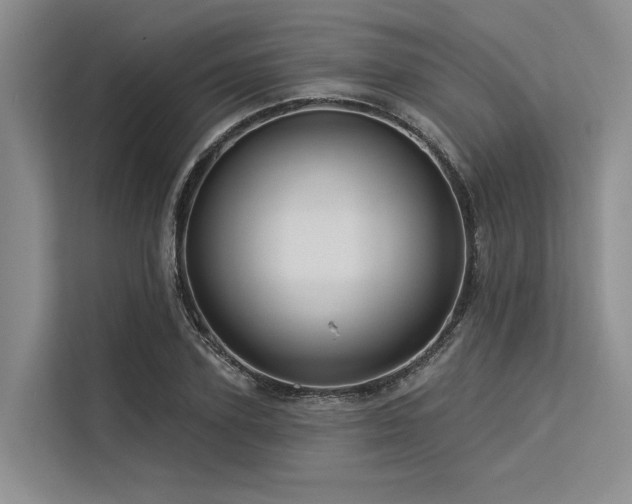 X0000113550931200909181156