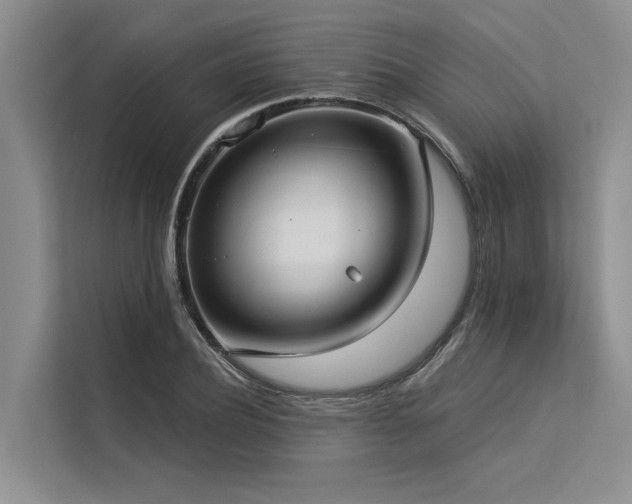 X0000113550932200909181156