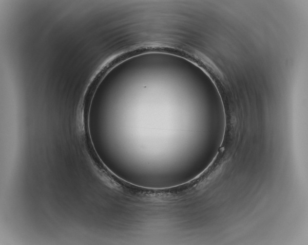 X0000113550934200909181156