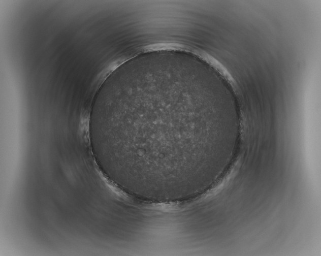 X0000113550937200909181156