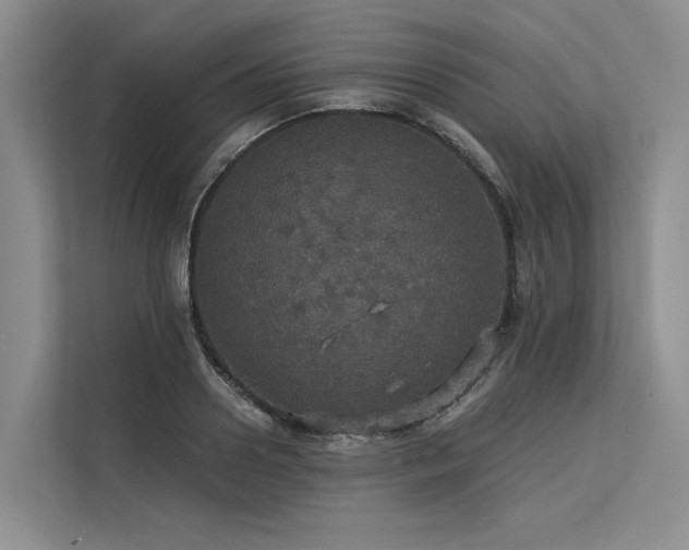 X0000113550938200909181156