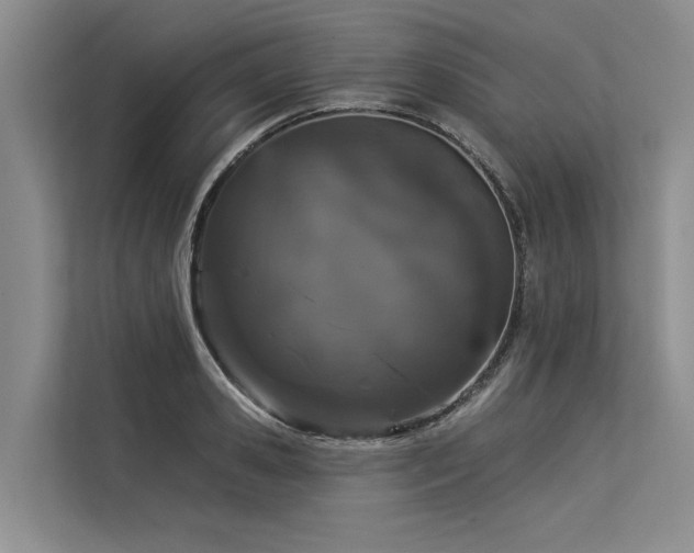 X0000113550941200909181156
