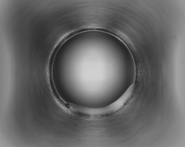 X0000113550942200909181156