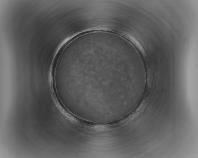 X0000113550944200909181156