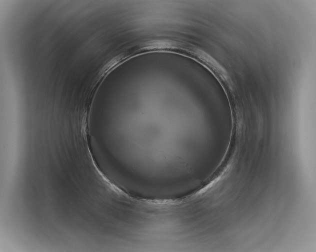 X0000113550945200909181156