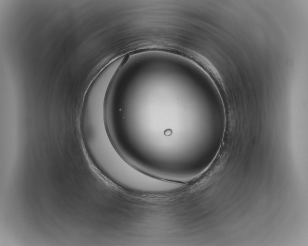 X0000113550946200909181156