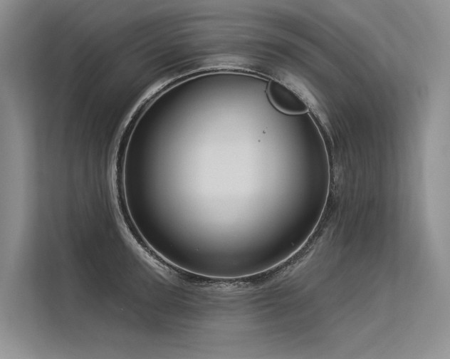 X0000113550947200909181156