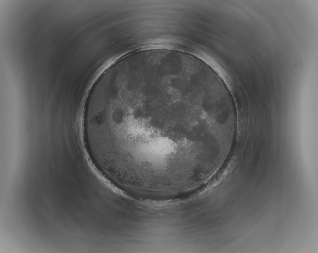 X0000113550949200909181156
