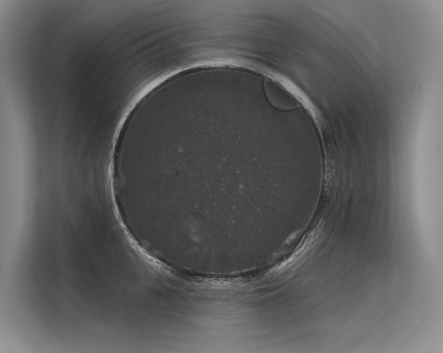 X0000113550951200909181156