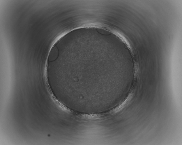 X0000113550952200909181156