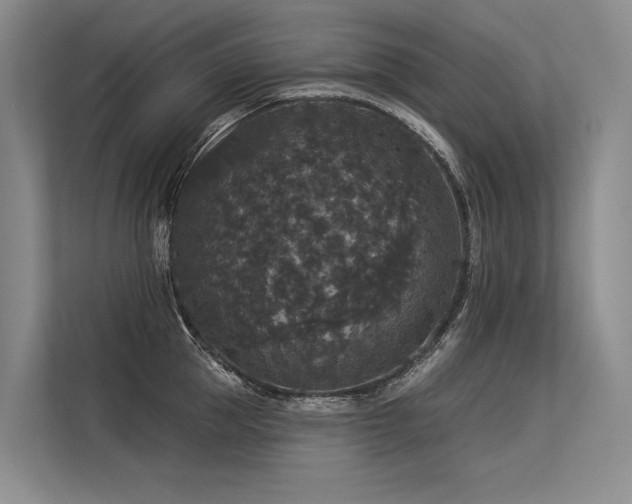 X0000113550953200909181156