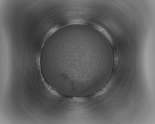 X0000113550954200909181156