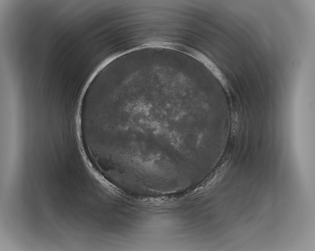 X0000113550955200909181156