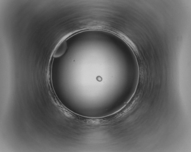 X0000113550956200909181156