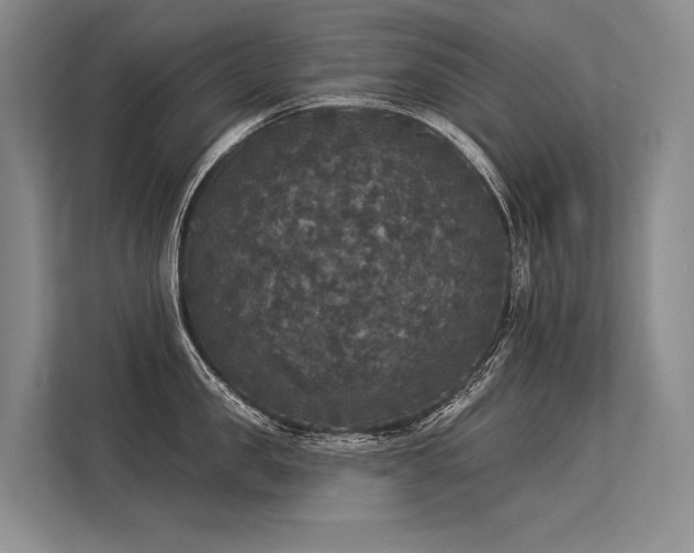 X0000113550957200909181156