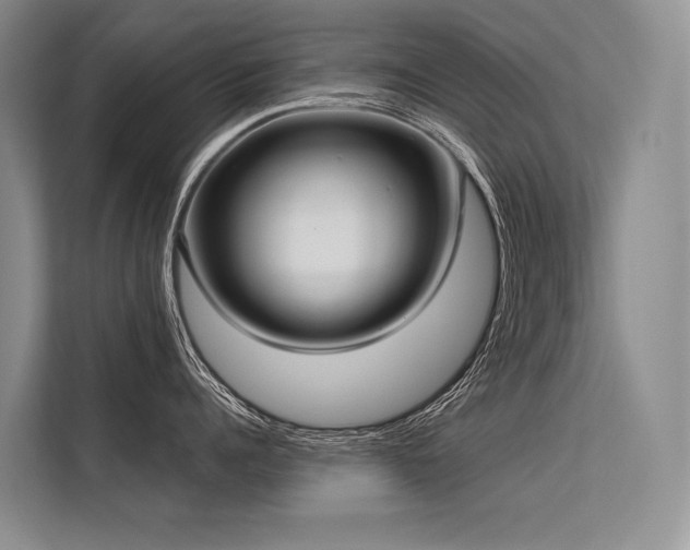 X0000113550960200909181156