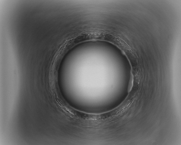 X0000113550961200909181156
