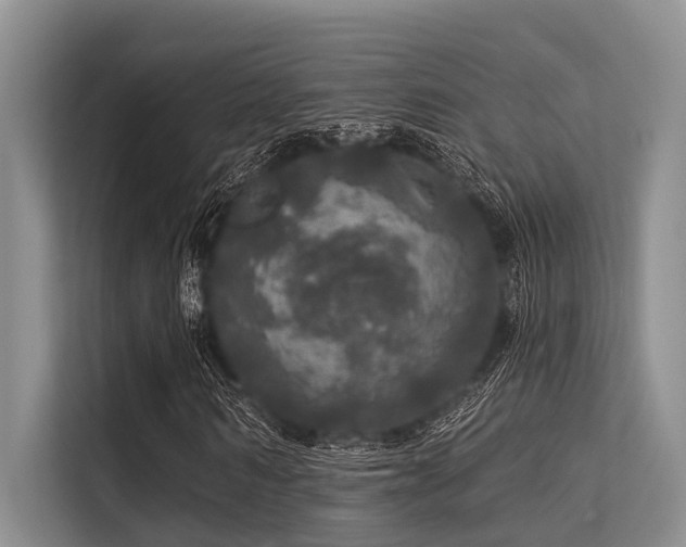 X0000113550962200909181156