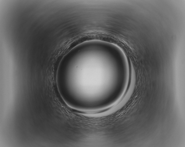 X0000113550965200909181156