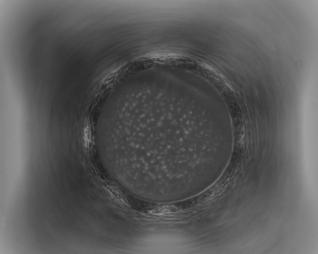 X0000113550966200909181156