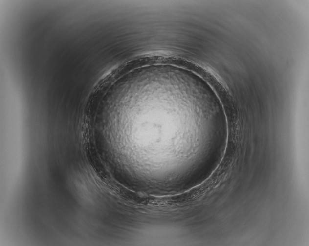 X0000113550967200909181156