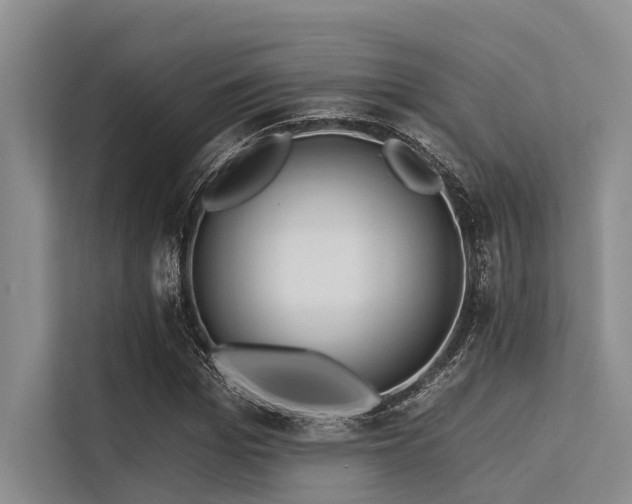 X0000113550969200909181156