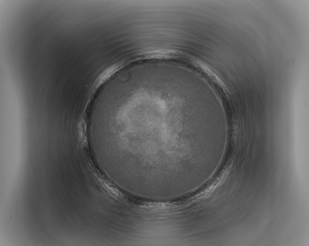 X0000113550970200909181156