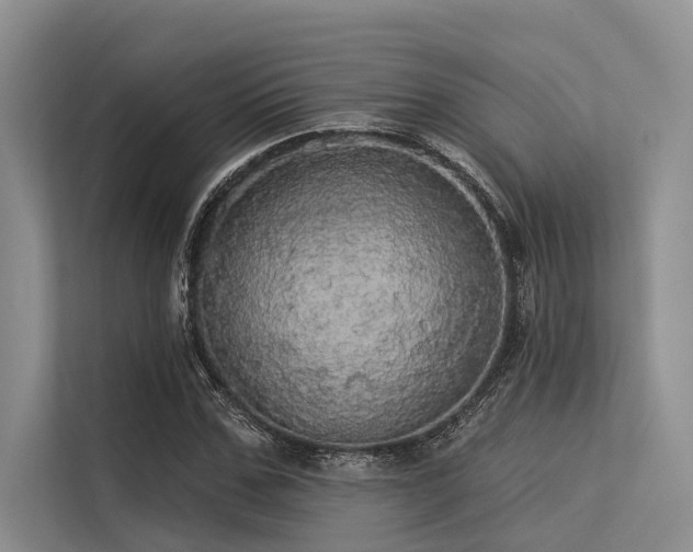 X0000113550971200909181156