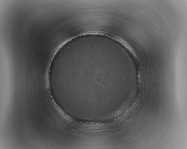 X0000113550972200909181156