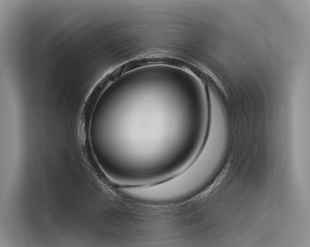 X0000113550973200909181156
