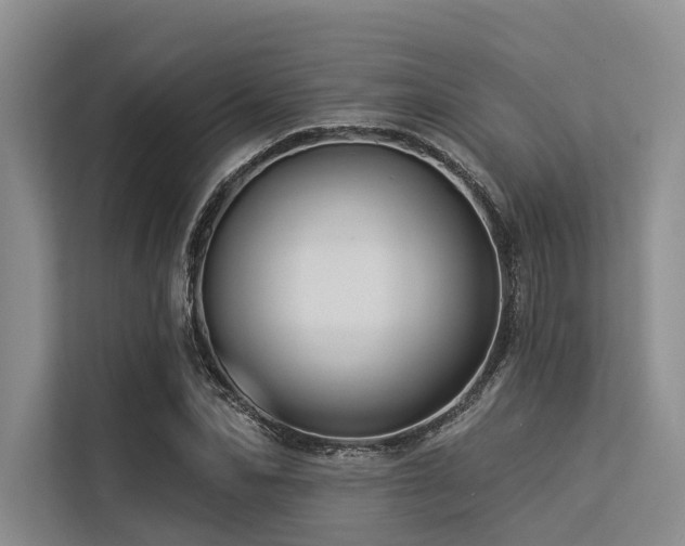 X0000113550974200909181156