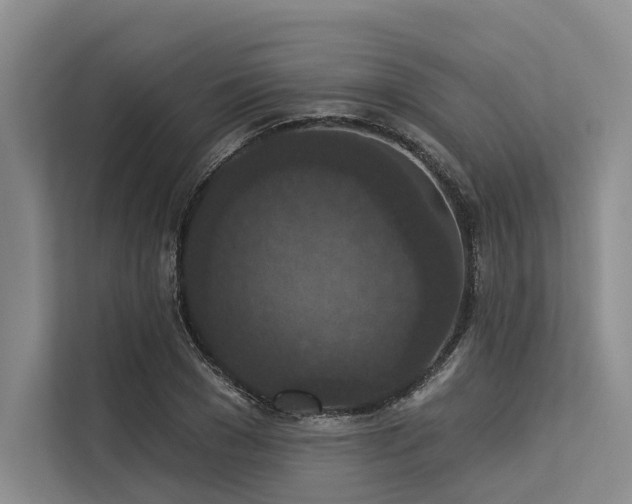 X0000113550977200909181156