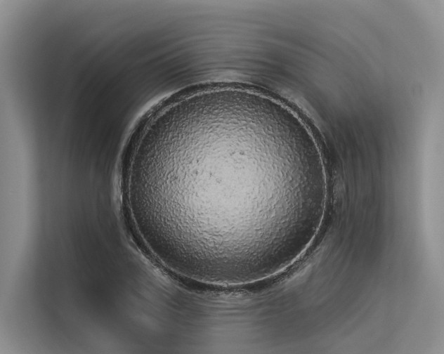 X0000113550979200909181156