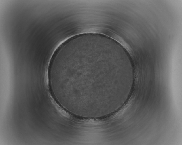 X0000113550980200909181156