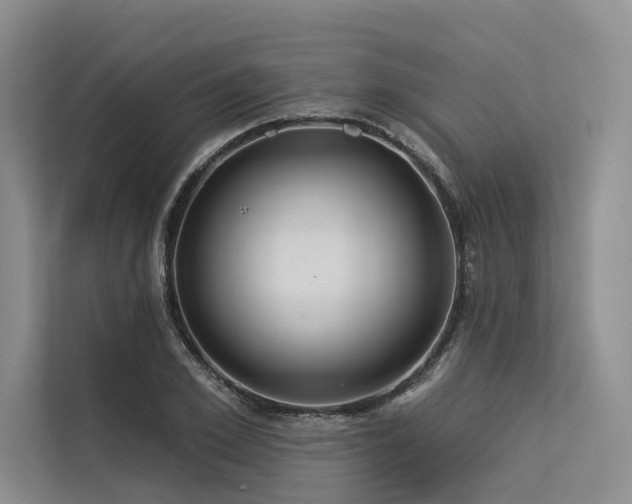 X0000113550981200909181156