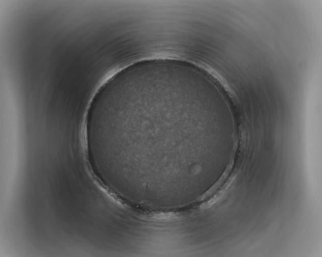 X0000113550982200909181156