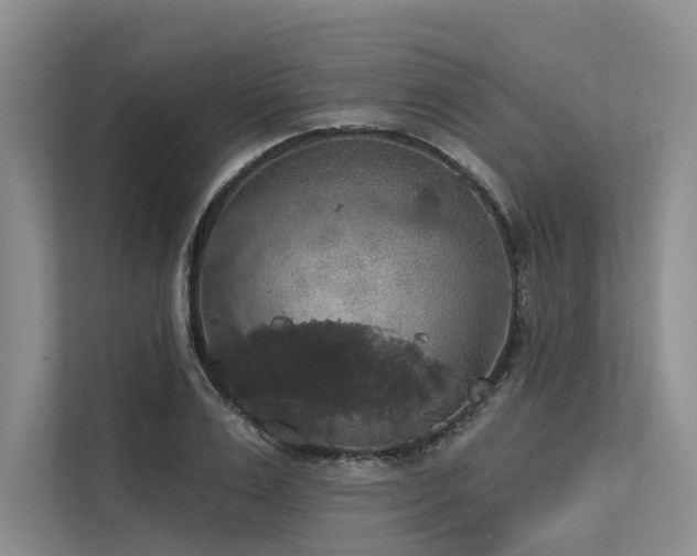 X0000113550983200909181156