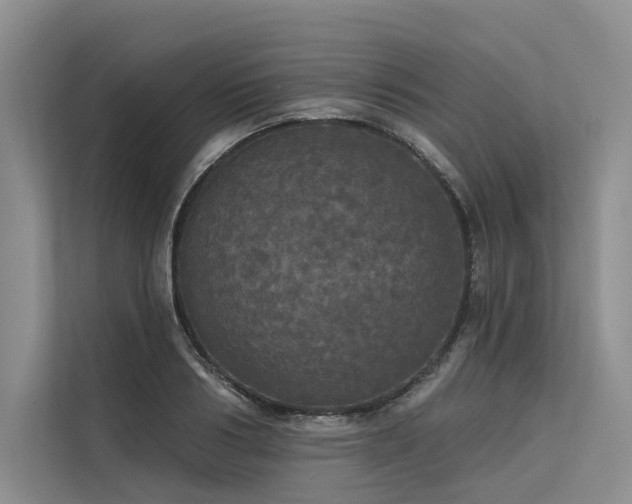 X0000113550986200909181155