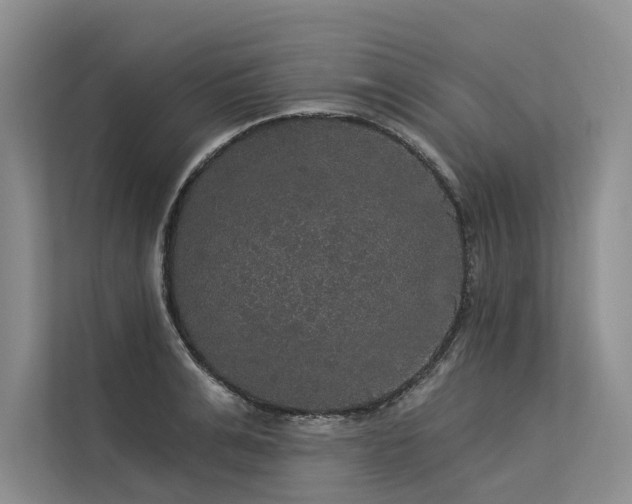 X0000113550991200909181155