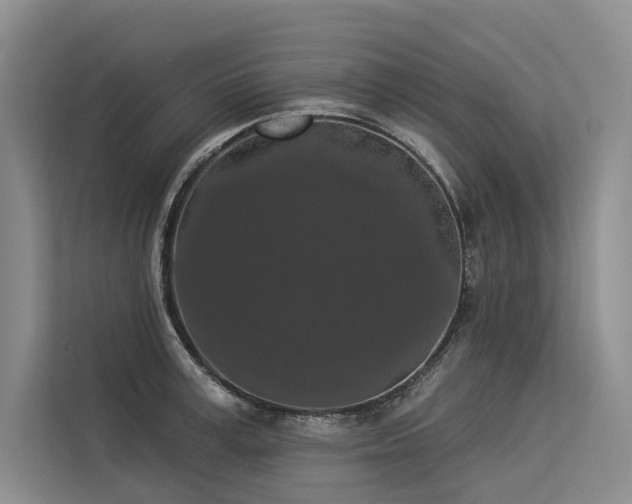 X0000113550995200909181155