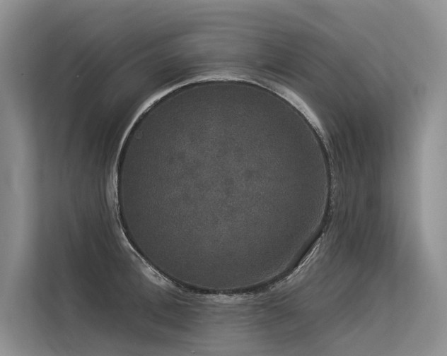 X0000113550996200909181155