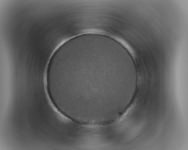 X0000113550999200909181155