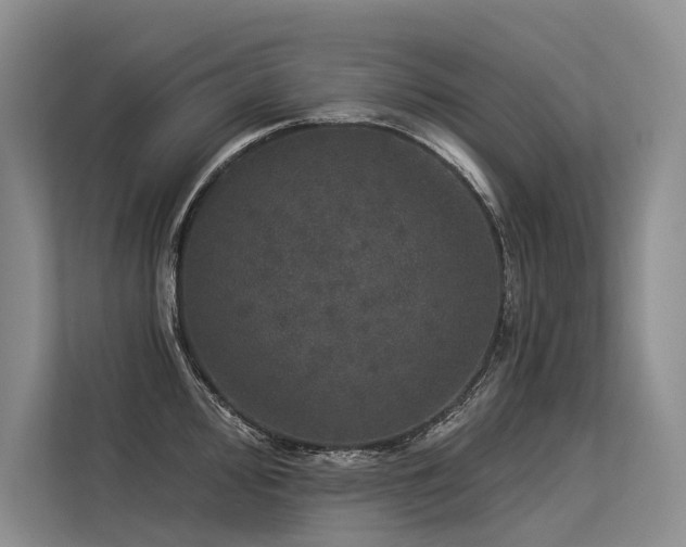 X0000113551000200909181155