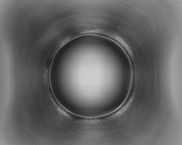 X0000113551001200909181155
