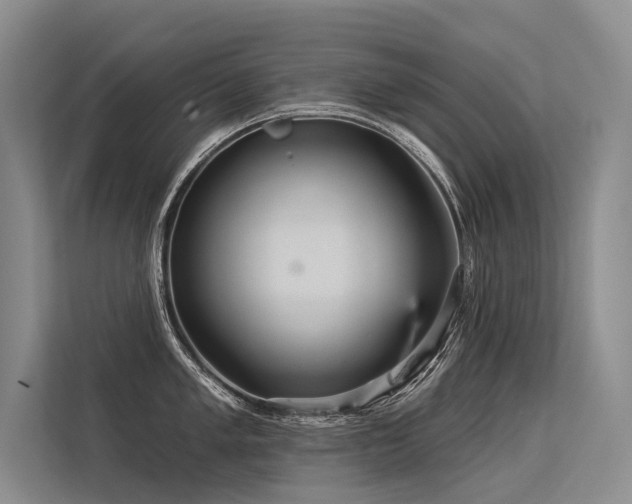 X0000113551005200909181155