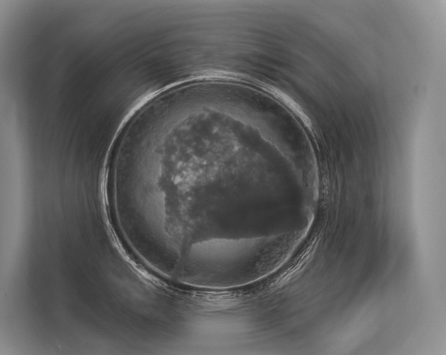 X0000113551007200909181155