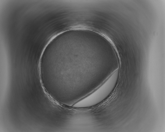 X0000113551008200909181155