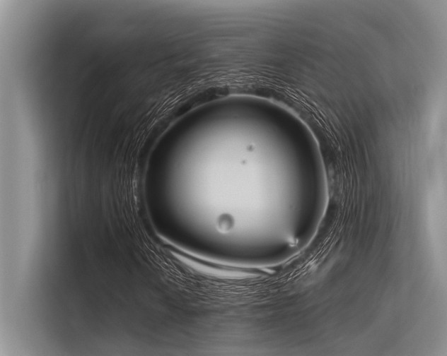 X0000113551010200909181155